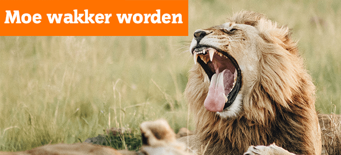 Hoe wordt u minder vermoeid wakker?